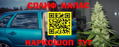 молекула духа Коммунар