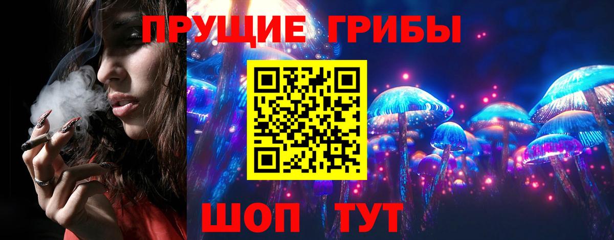 Галлюциногенные грибы мухоморы Долгопрудный